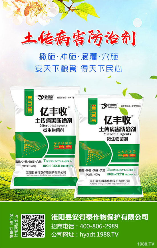 白蘿卜的功效與作用，白蘿卜營養(yǎng)價值！