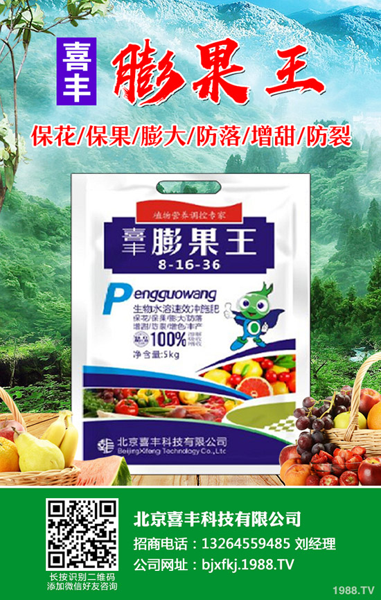 芹菜發(fā)芽慢怎么辦，芹菜催芽方法有哪些？