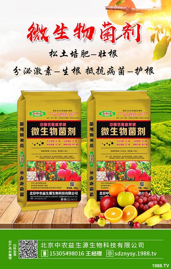 荷蘭豆秋季能種植么?畝產(chǎn)利潤(rùn)如何?荷蘭豆種植管理技術(shù)!