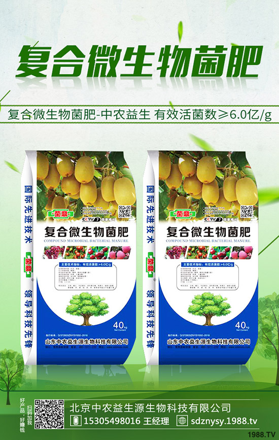     復合肥冬儲啟動緩慢！今日最新復合肥市場價格快訊2019-10-19