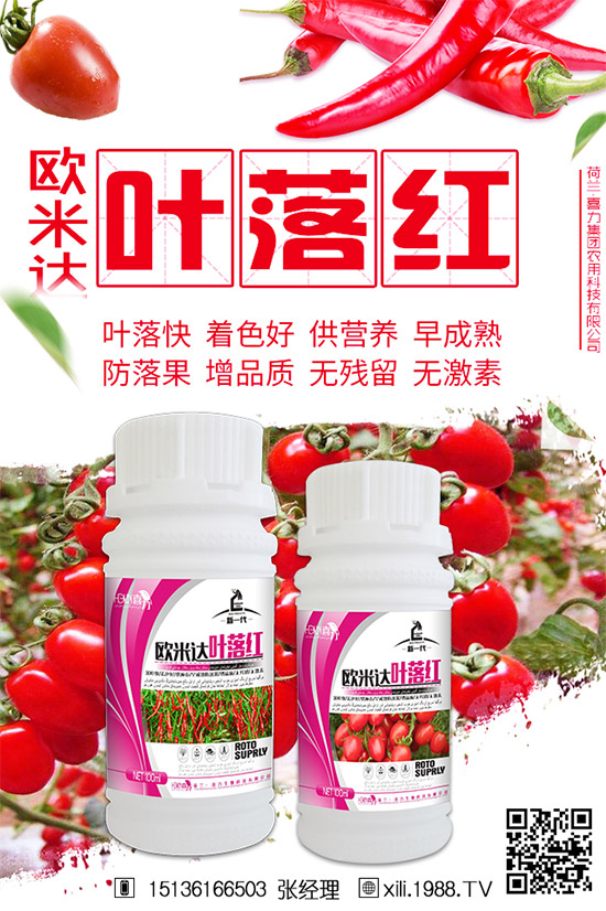 茄子生長期為啥會早衰？防治茄子早衰的方法！