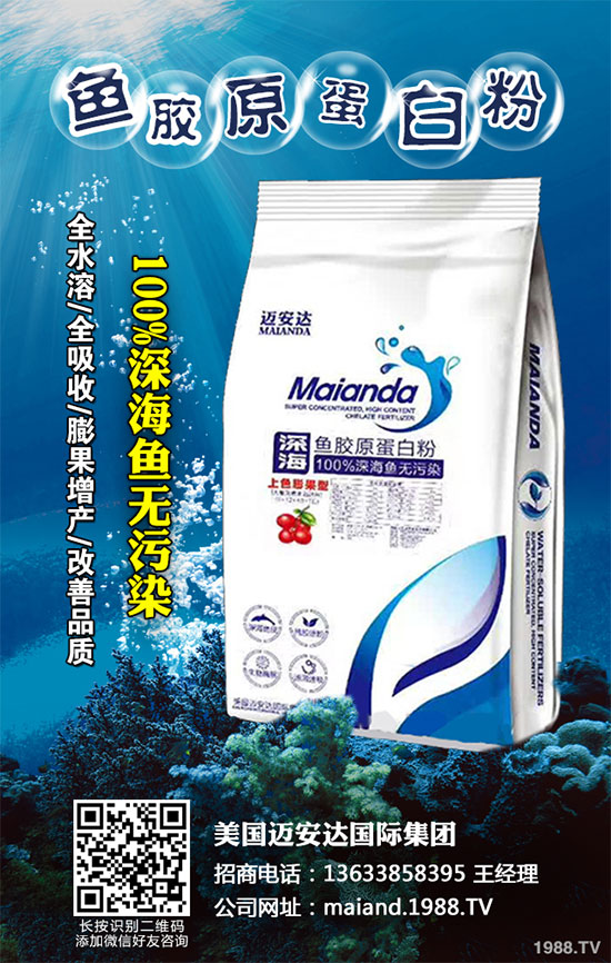 白菜病毒病危害巨大，到底該怎么辦？白菜病毒病及其防治圖譜