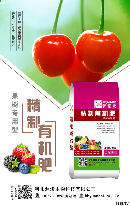 菠菜的生長習(xí)性如何？如何提高菠菜的產(chǎn)量？