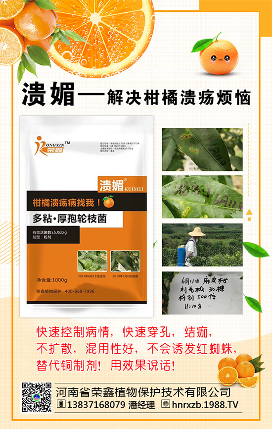 菠菜的營養(yǎng)價值，吃菠菜的好處有哪些？