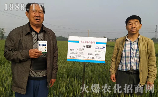 節(jié)節(jié)麥如何防除，用什么藥？