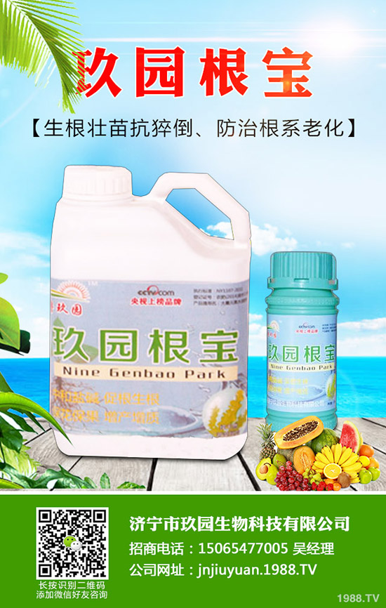 菠菜蚜蟲如何防？菠菜蚜蟲的危害及發(fā)生規(guī)律！