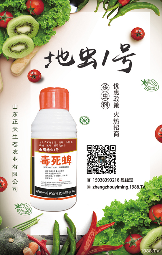 櫻桃蘿卜如何種植，櫻桃蘿卜需要注意什么？