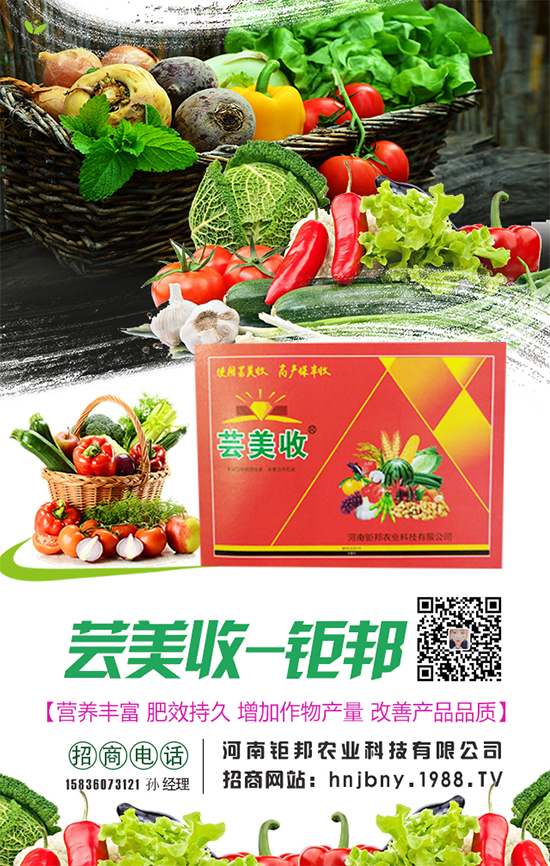�����}�����L��(du��)�h(hu��n)���l��Ҫ���������}����ôʩ����