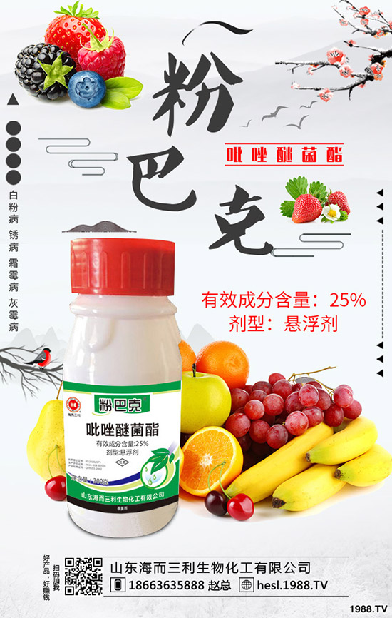 2020年蘆筍種植前景怎么樣？蘆筍如何種植？