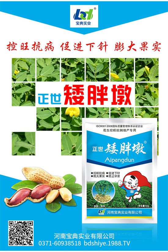蓮霧怎么種植？蓮霧種植的技術(shù)要求有哪些？