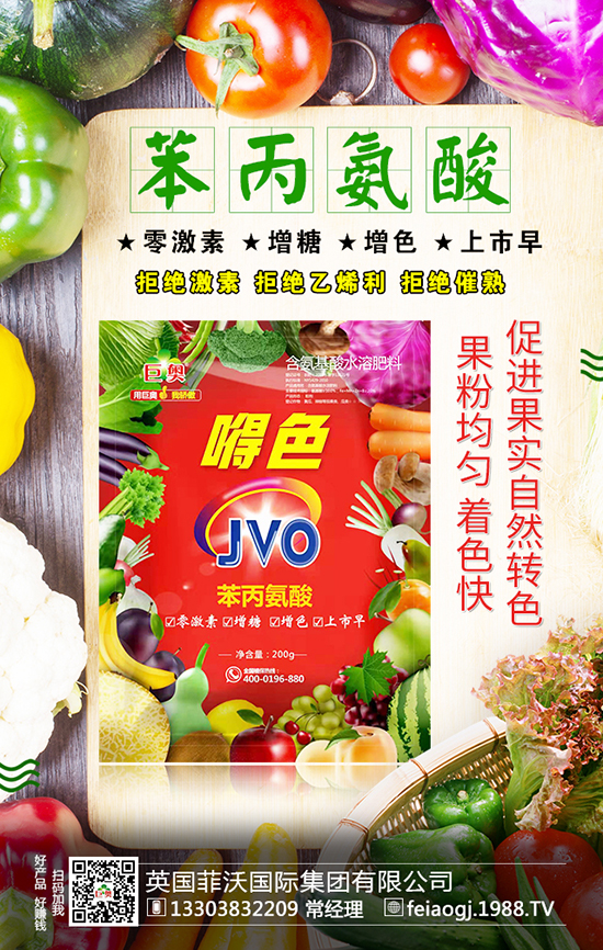 英國菲沃國際集團有限公司6