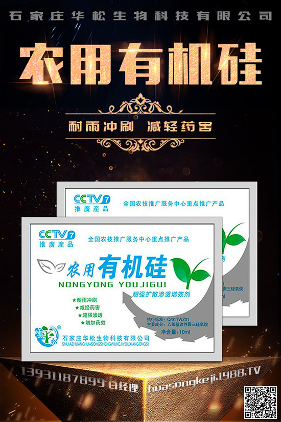 芹菜空心的原因是什么，如何預(yù)防芹菜空心？