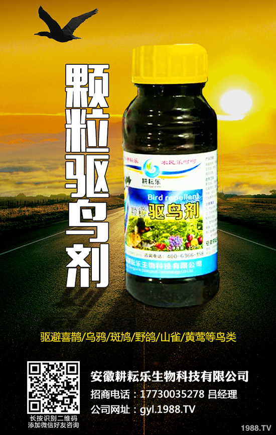 氯氟吡氧乙酸異辛酯適用范圍有哪些？作用特點(diǎn)及使用注意事項(xiàng)知道么？