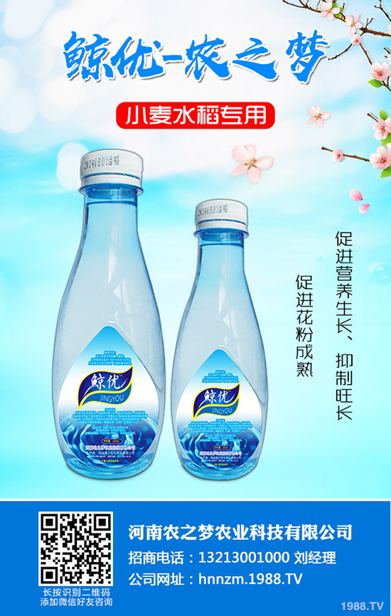 番茄缺鈣是什么表現(xiàn)？番茄補(bǔ)鈣措施！