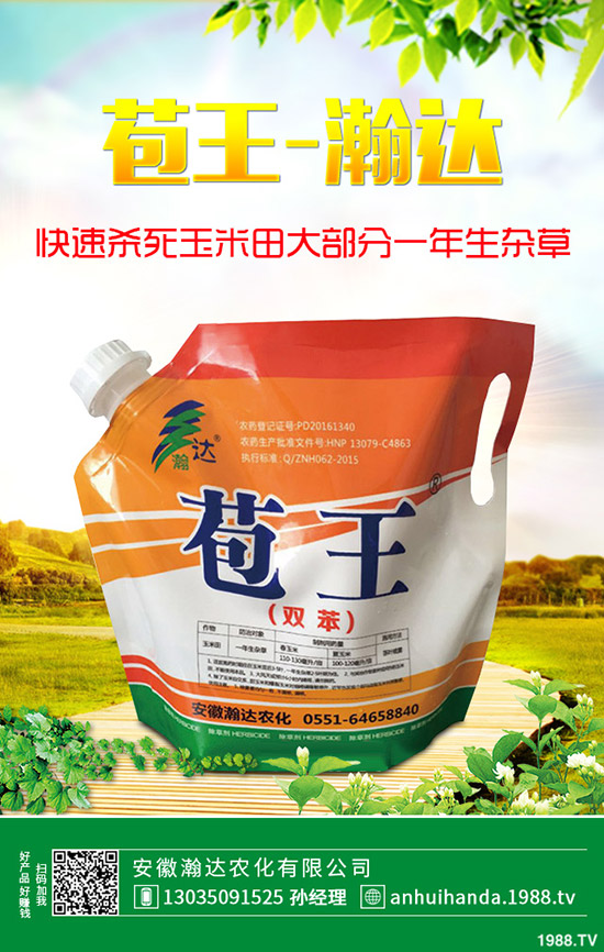 早春韭菜怎么施肥？韭菜施肥方法和注意事項(xiàng)！