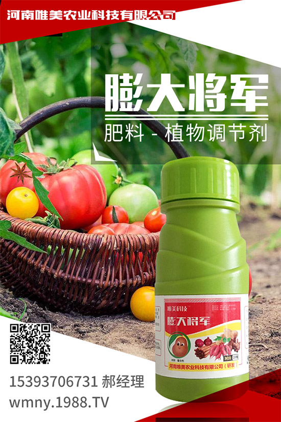 紫薯怎么種植？紫薯高產(chǎn)種植方法