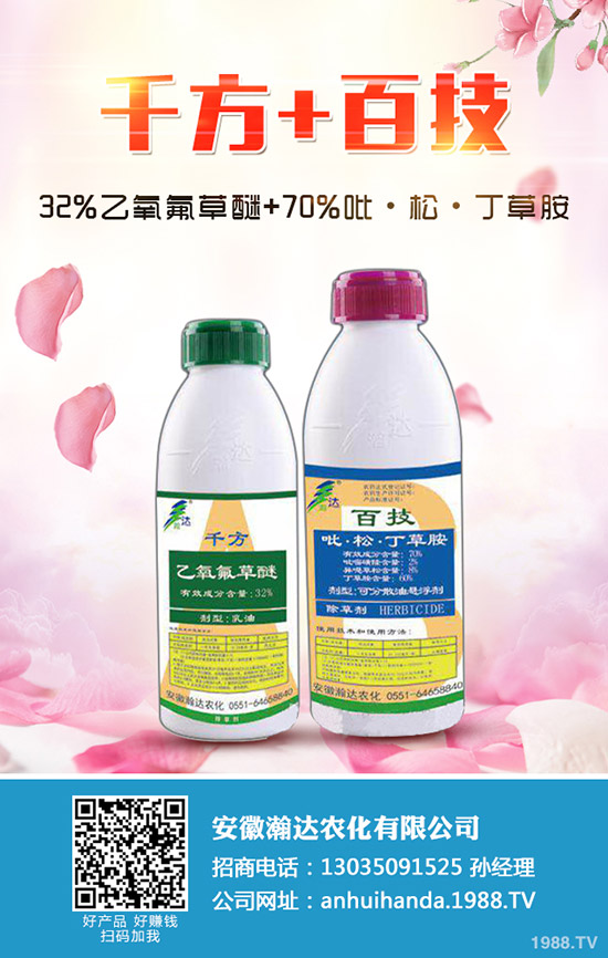 冬季馬鈴薯怎么種？冬季馬鈴薯栽培要點(diǎn)！