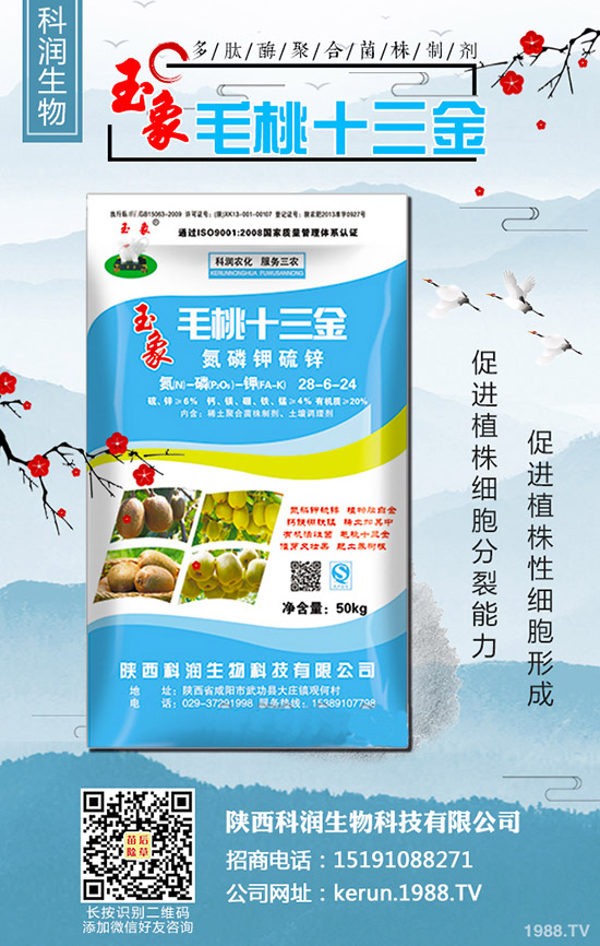     2019-10-30最新二銨價格行情動態(tài)評述，多少錢一噸？