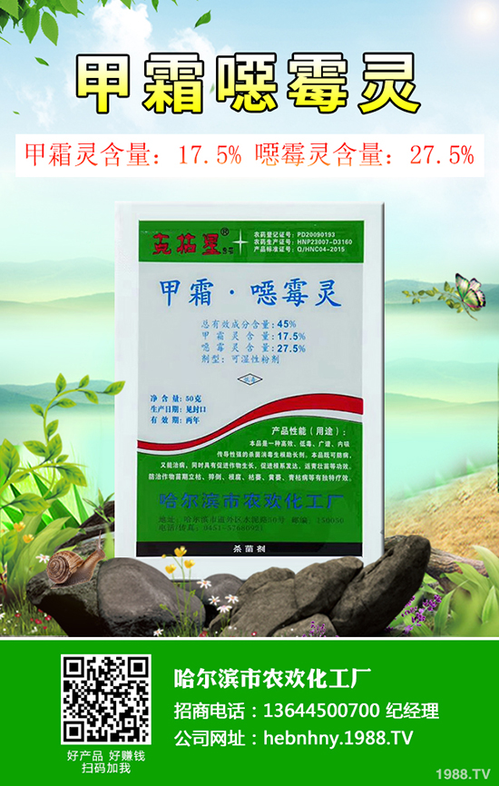 冬瓜得了白粉病怎么辦?冬瓜白粉病防治措施!