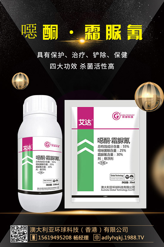     ������������xُ(g��u)������������ُ(g��u)�Iע�����(xi��ng)���`�^(q��)��