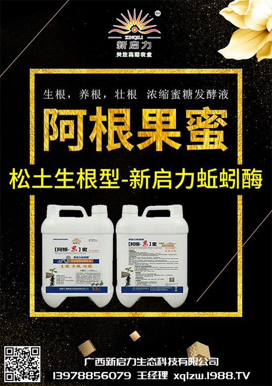 甘藍黑脛病有哪些危害？秋甘藍病害的發(fā)生與防治技巧