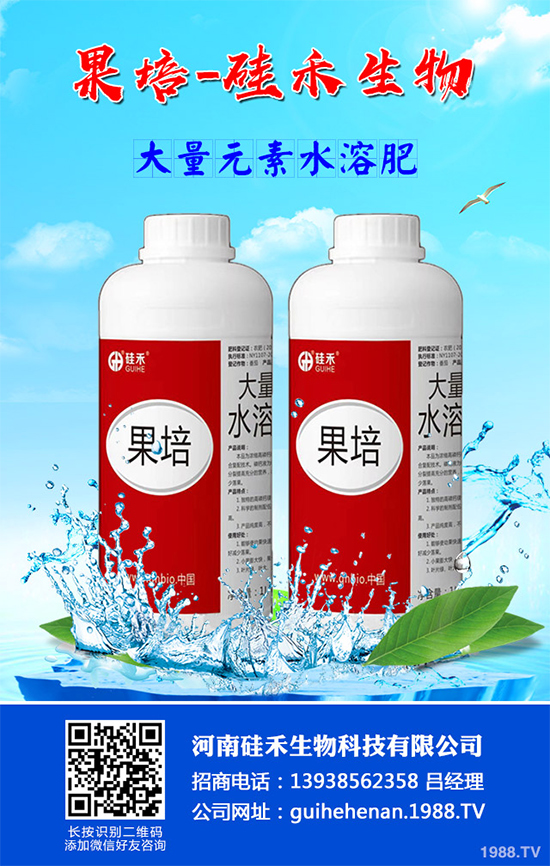 甘藍(lán)黑腐病是如何發(fā)生的？有哪些危害？甘藍(lán)黑腐病綜合防治方案