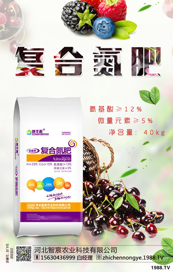 芋頭怎么種?芋頭的種植方法有哪些?