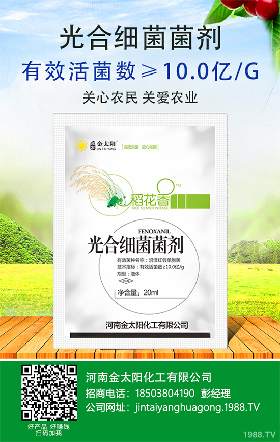 辣椒爛果多原因？辣椒爛果防治辦法！