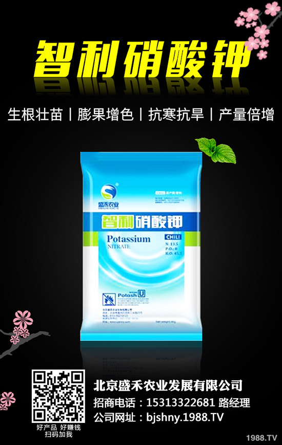 黑豆什么時候種植，黑豆的種植要點有哪些？