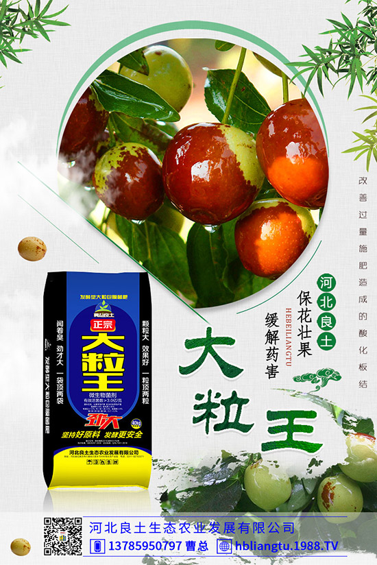 甜瓜落花落果原因有哪些？甜瓜如何提高座果率？