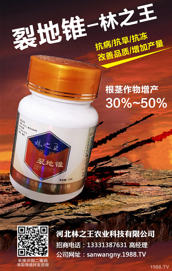 苦瓜裂果是怎么回事，苦瓜裂果防治措施！