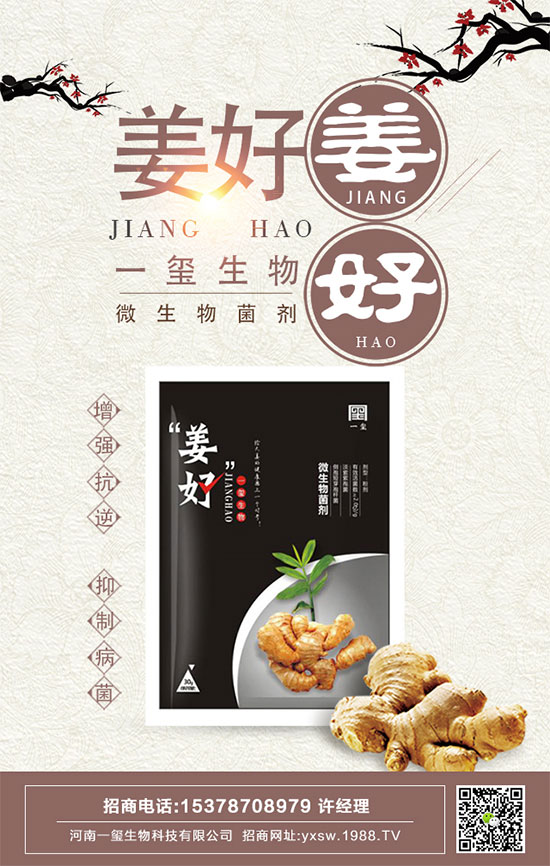 豆角的四個生育期有哪些特點？如何長期保存豆角？