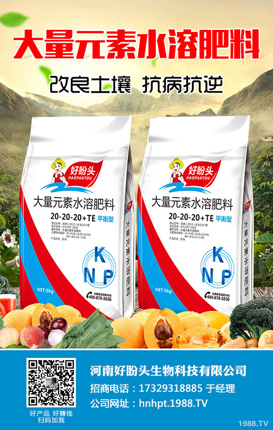 今日氯化鉀價(jià)格日?qǐng)?bào)，鉀肥企業(yè)出廠參考價(jià)一覽2019-11-13