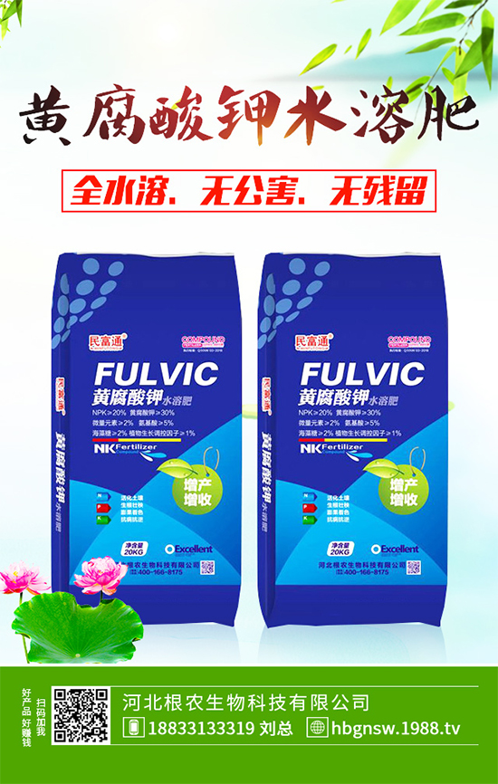 五味子樹該如何種植?五味子規(guī)模化種植技術(shù)