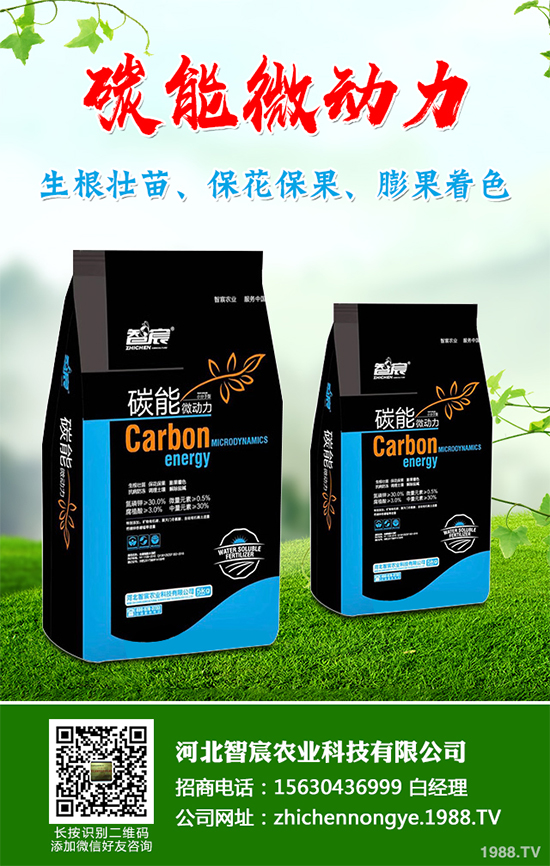 冬季大棚蔬菜種植該注意什么?切記別進(jìn)這六大誤區(qū)