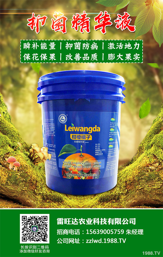 2020年種植水稻能掙錢(qián)嗎?2020年水稻種植前景