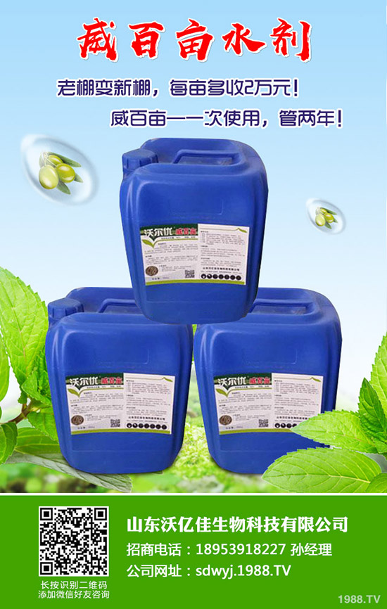 甜瓜什么時候種植？甜瓜怎么種植能高產(chǎn)？