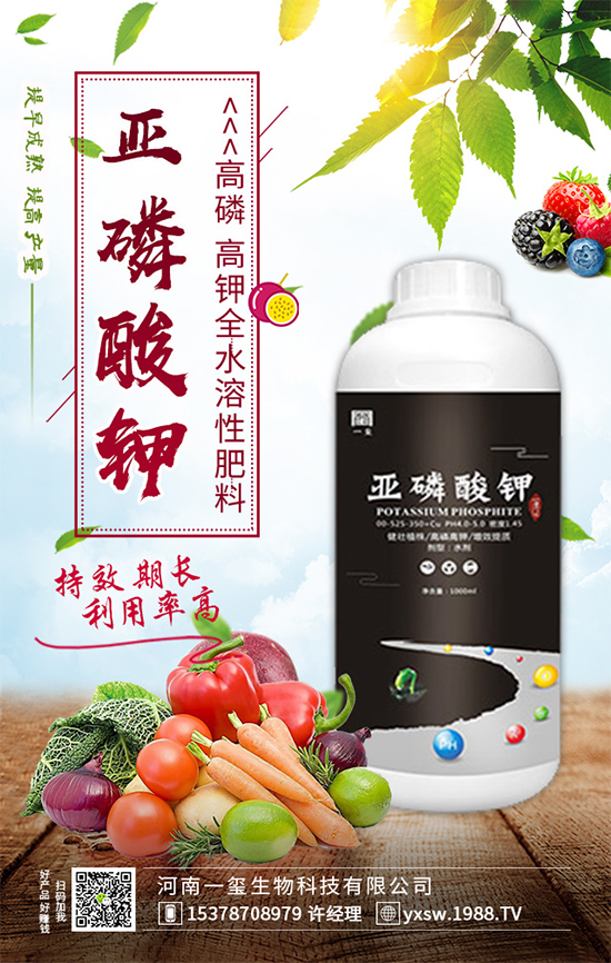 櫻桃樹(shù)為什么不結(jié)果？櫻桃樹(shù)不結(jié)果實(shí)的的解決方案！