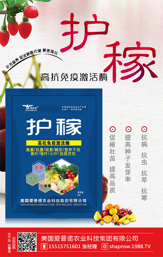 秋冬菠菜種植品種怎么選？越冬菠菜凍藏方法要點(diǎn)！