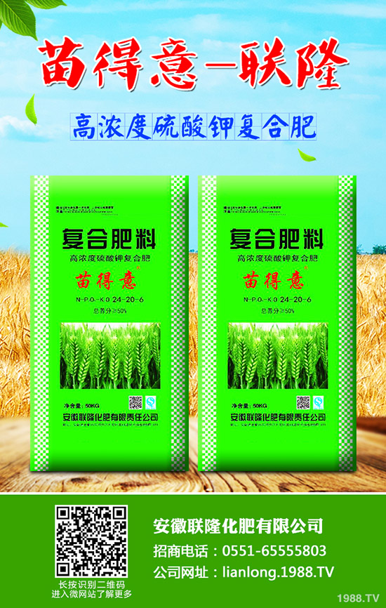 吃牛蒡?qū)ι眢w有什么好處?牛蒡的營養(yǎng)價(jià)值及功效!