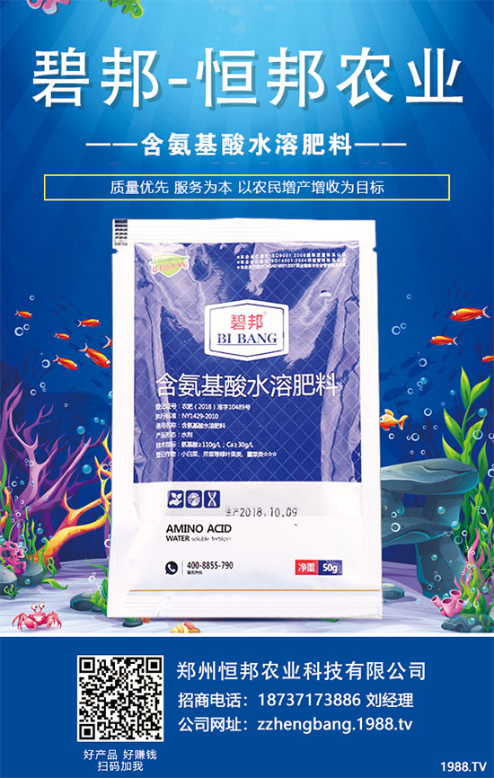 秋菠菜種植如何提高發(fā)芽率?提高菠菜發(fā)芽率措施!