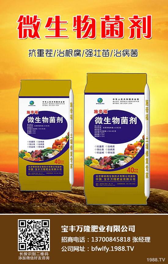 西蘭花種植方法有哪些？西蘭花種植注意事項！