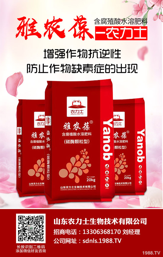 進(jìn)入11月下旬!最新尿素市場行情后市走勢預(yù)測!