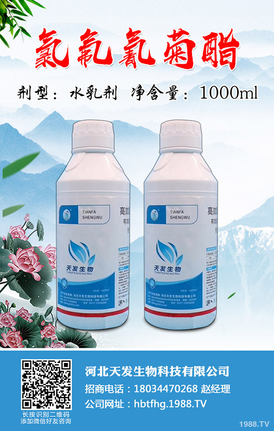 小麥吸漿蟲危害有多大？小麥吸漿蟲防控技術(shù)！