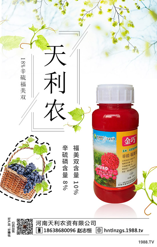 冬棗縮果病是咋回事？冬棗縮果病發(fā)病癥狀、原因和防治措施！