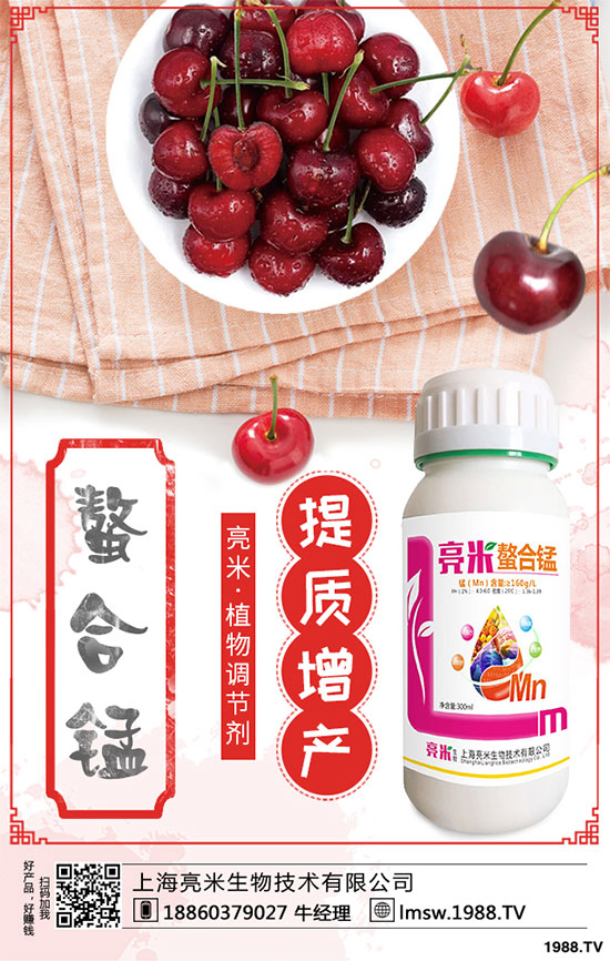 黃秋葵有哪些營養(yǎng)價(jià)值？黃秋葵高產(chǎn)栽培技術(shù)