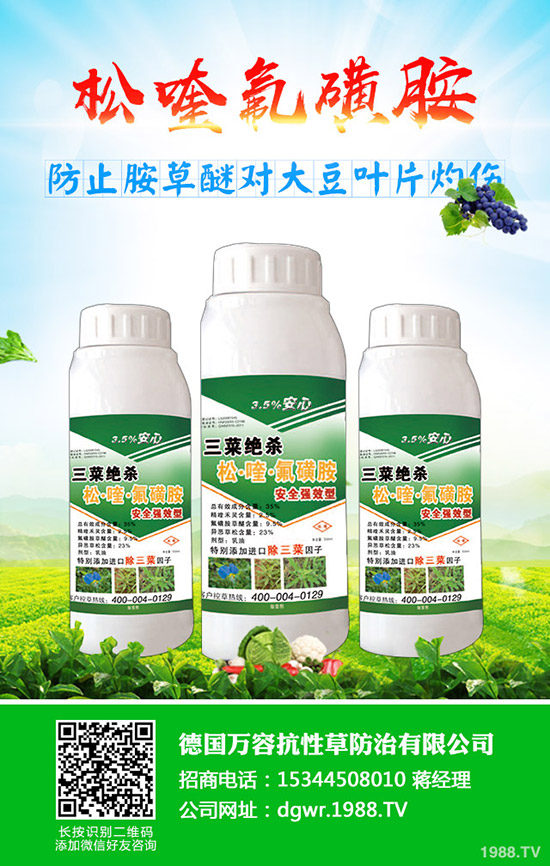 黃豆什么時(shí)間種植，黃豆的種植方法有哪些？