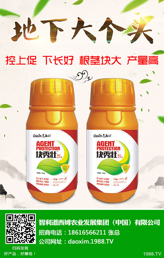 蘿卜得了炭疽病怎么辦？蘿卜炭疽病癥狀和防治方法！