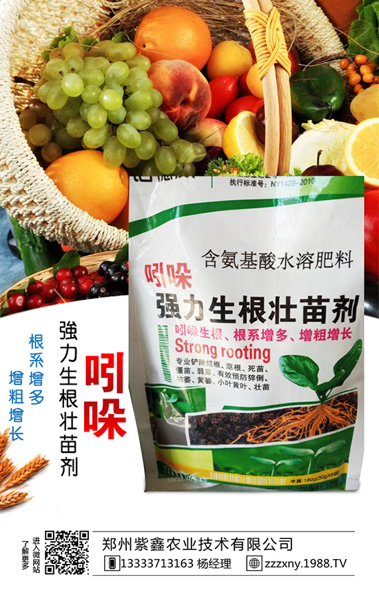 ��֥��Nֲ�r�g��ʲô�r�������֥��Nֲ�������g(sh��)��