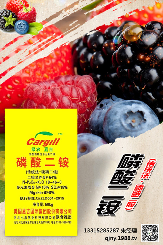 小茴香什么季節(jié)播種？有哪些種植技巧？